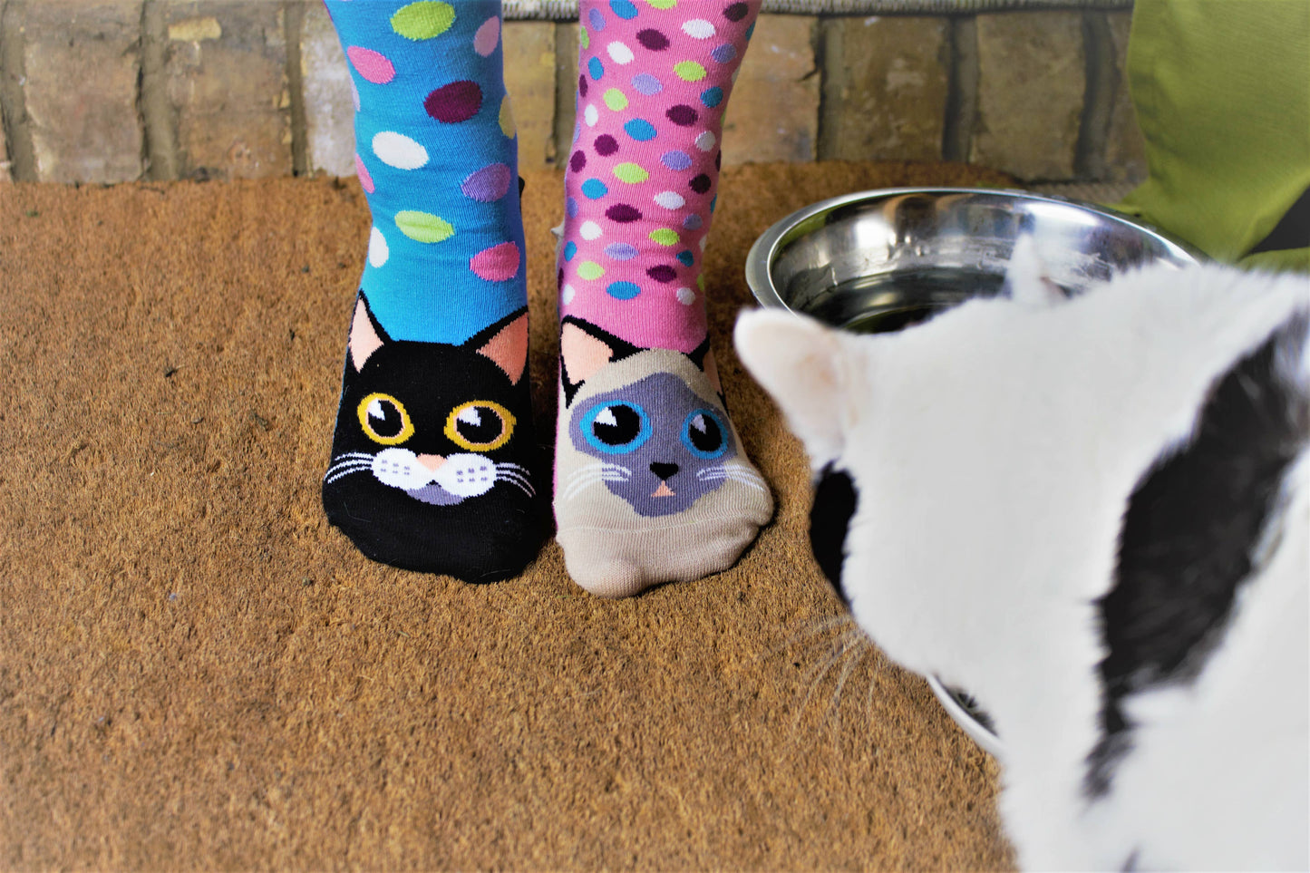 Sock Academy - CATWALK | 6 Odd Socks Gift Box - United Oddsocks