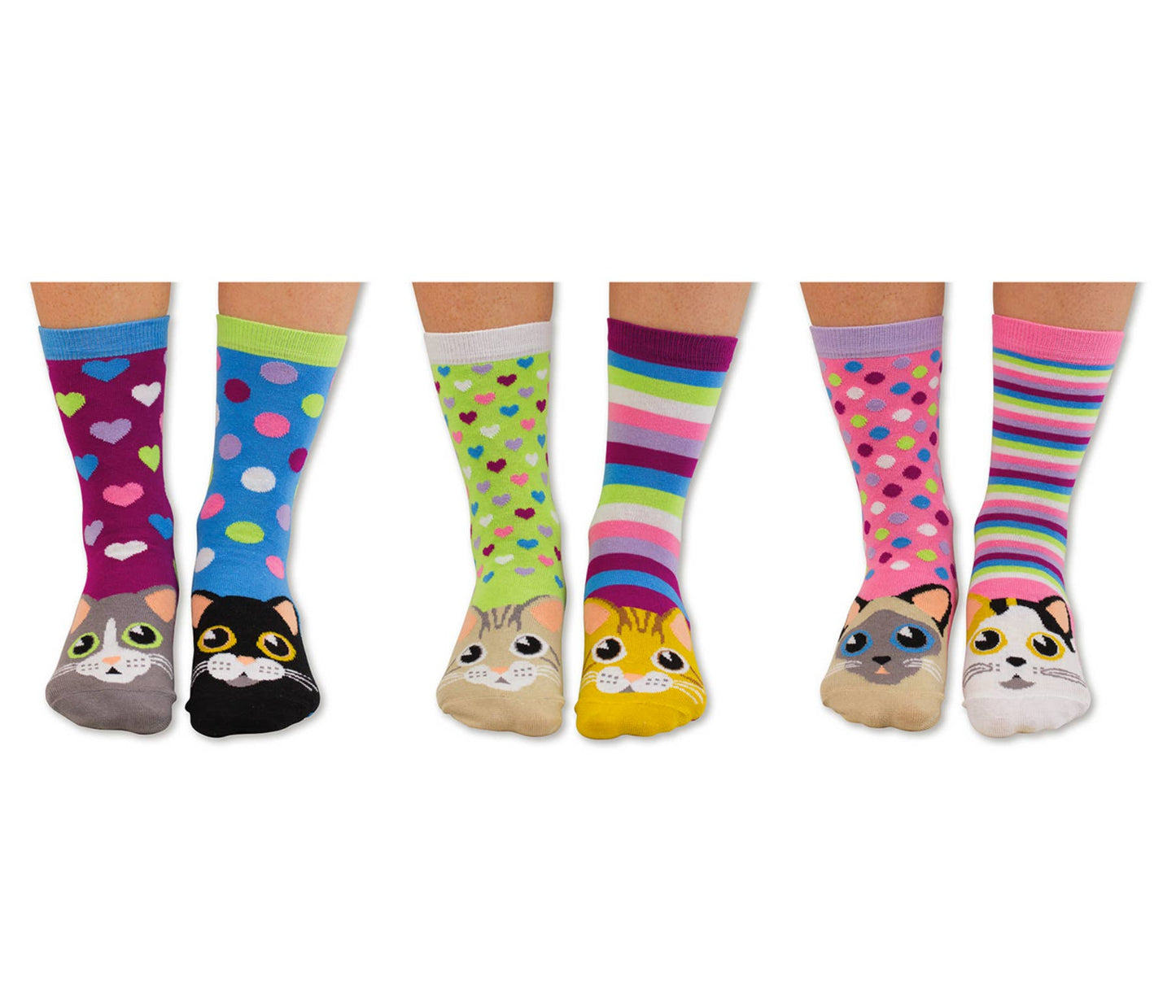 Sock Academy - CATWALK | 6 Odd Socks Gift Box - United Oddsocks