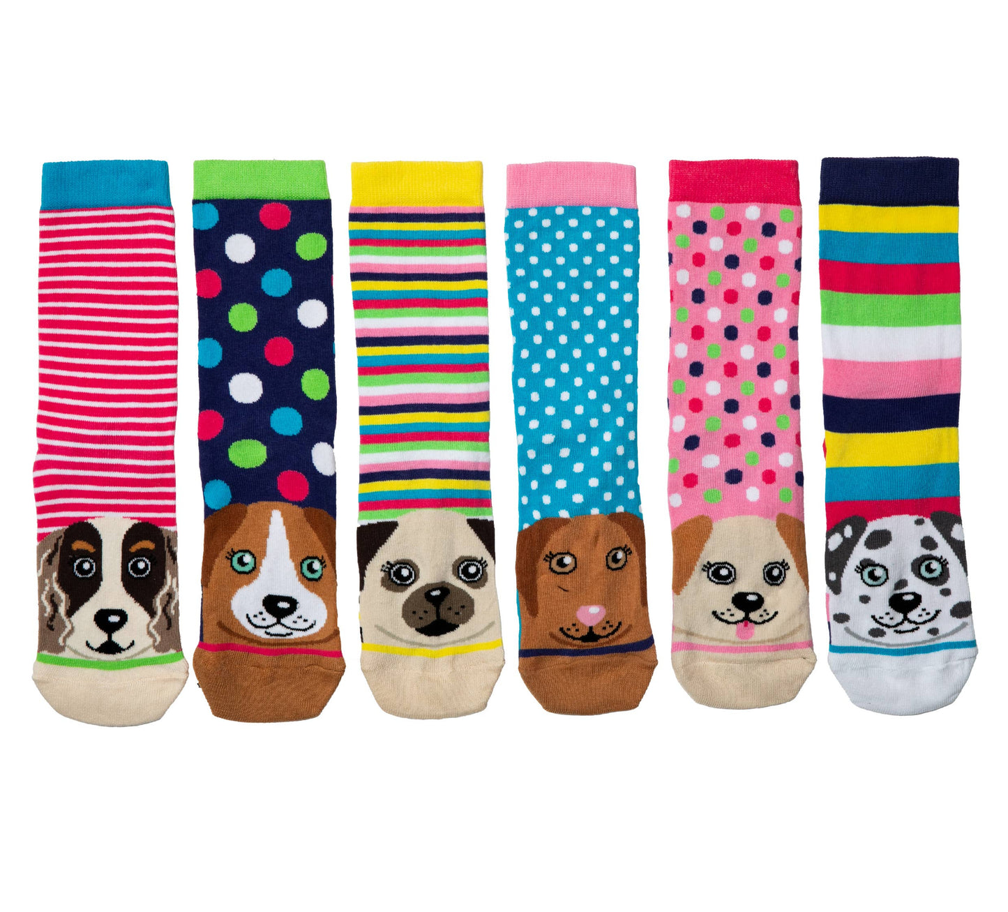 Sock Academy - PAWSOME | 6 Odd Socks Gift Box - United Oddsocks