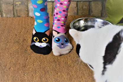 Sock Academy - CATWALK | 6 Odd Socks Gift Box - United Oddsocks