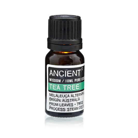 Ancient Wisdom - 10 ml Tea Tree Essential Oil