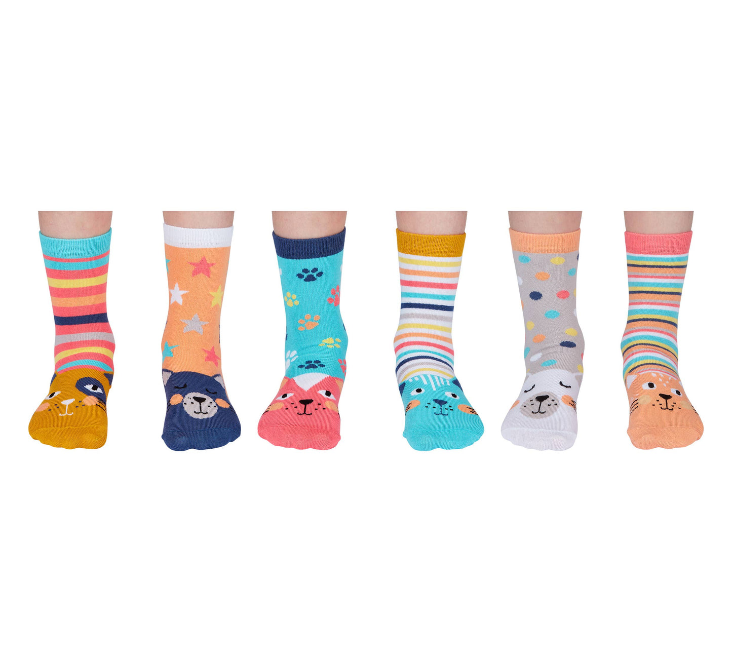 Sock Academy - CATKINS | 6 Odd Socks Gift Box - United Oddsocks
