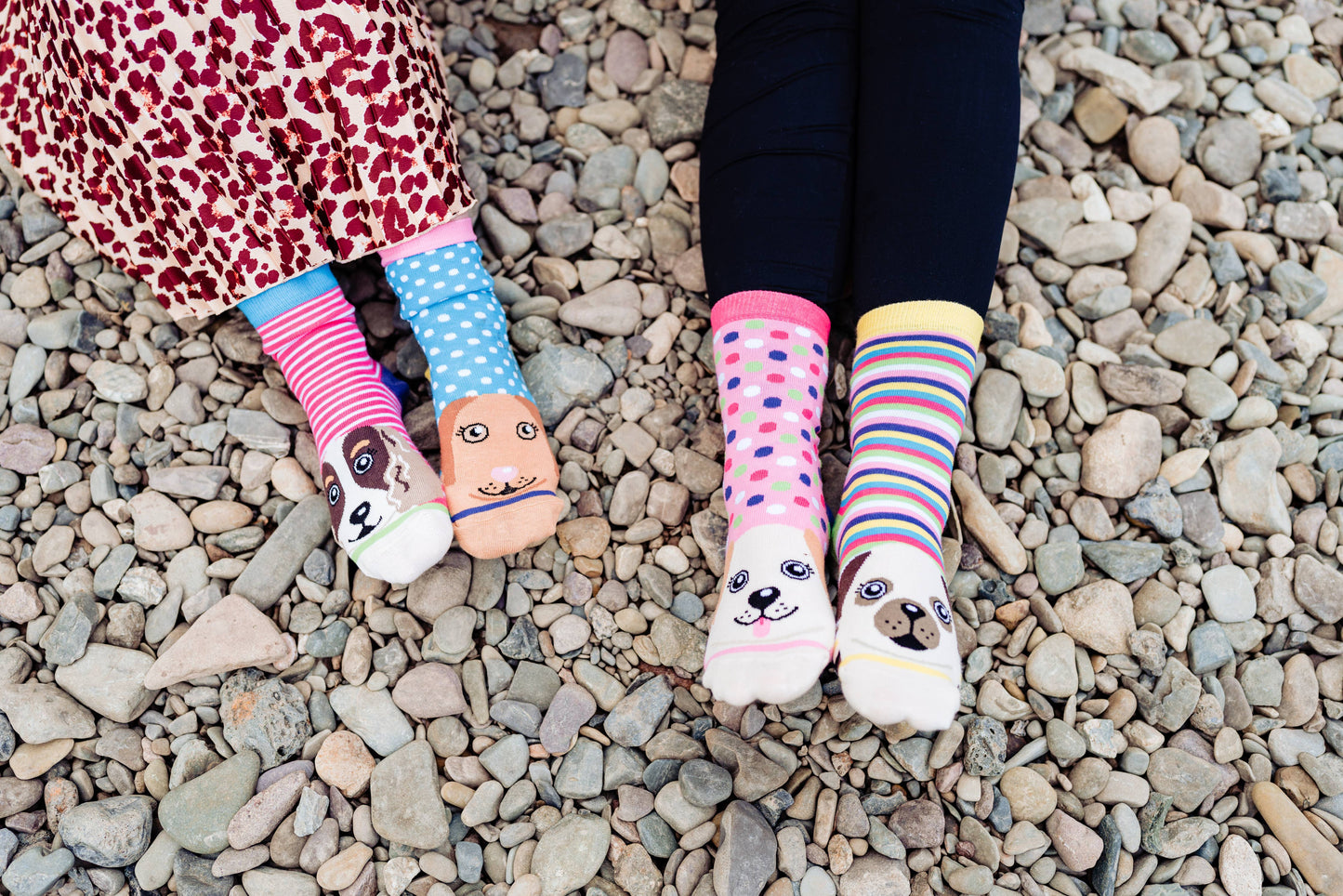 Sock Academy - PAWSOME | 6 Odd Socks Gift Box - United Oddsocks