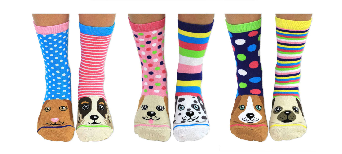 Sock Academy - PAWSOME | 6 Odd Socks Gift Box - United Oddsocks