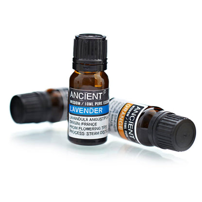 Ancient Wisdom - Wholesale Lavender Essential Oil