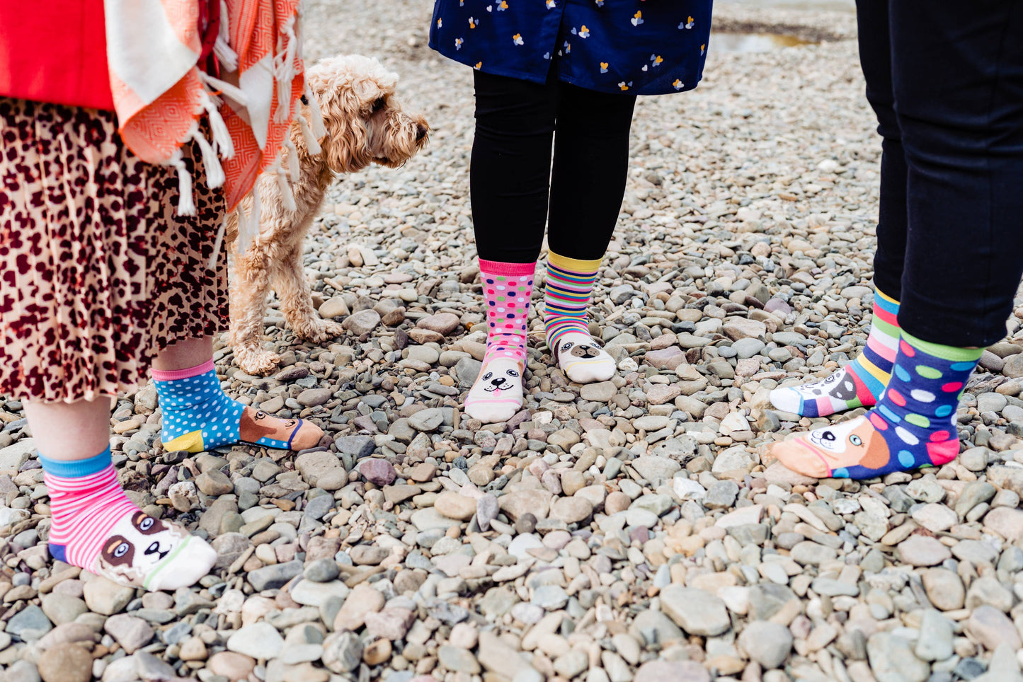 Sock Academy - PAWSOME | 6 Odd Socks Gift Box - United Oddsocks