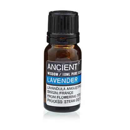 Ancient Wisdom - Wholesale Lavender Essential Oil