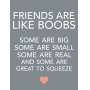 Funny Friends Quote Plaque – “Friends Are Like Boobs” Hanging Sign
