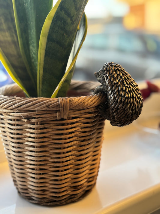 Bronze Hedgehog Plant Pot Pal - Quirky Garden Friend for Pots & Planters
